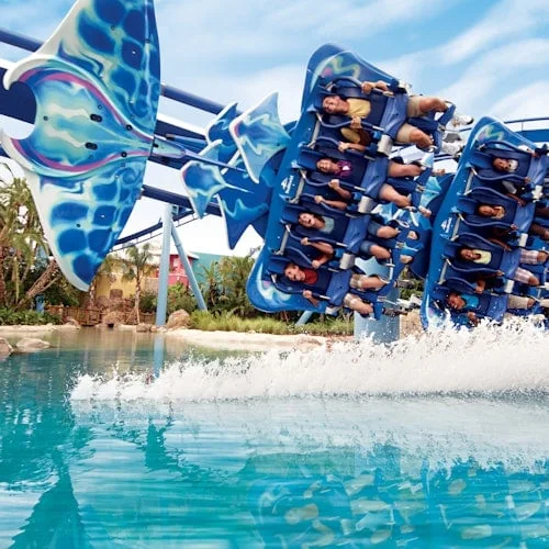 Riders suspended over water on a SeaWorld roller coaster